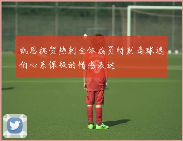 凯恩祝贺热刺全体成员特别是球迷们心系保级的情感表达