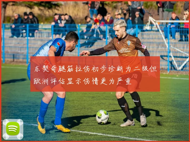 东契奇腿筋拉伤初步诊断为二级但欧洲评估显示伤情更为严重
